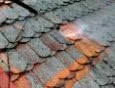 Perfect - Czyszczenie dachówki z mchów i porostów