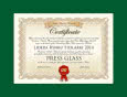 PRESS GLASS Liderem Rynku Stolarki 2014